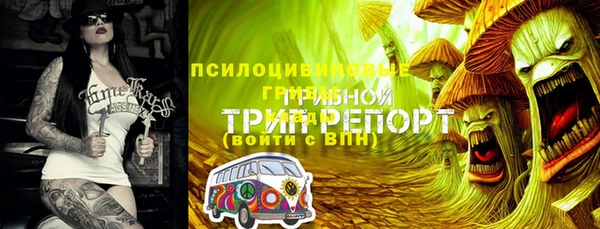 соль ск Дмитров