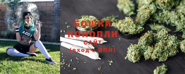 соль ск Дмитров