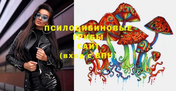 соль ск Дмитров