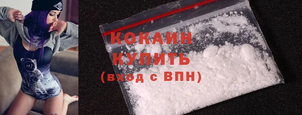соль ск Дмитров