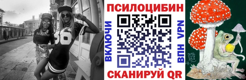 Купить  Пугачёв  Галлюциногенные грибы мицелий 